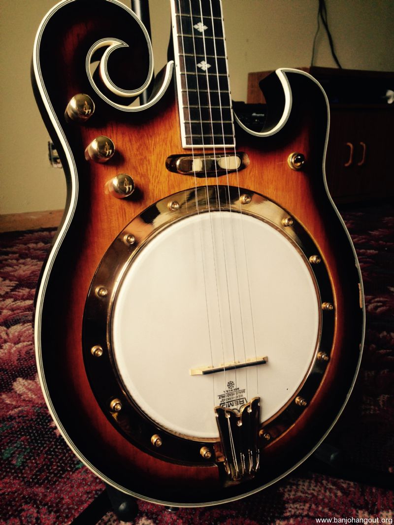 Gold Tone EBM 5 String Electric Banjo Used Banjo For Sale at