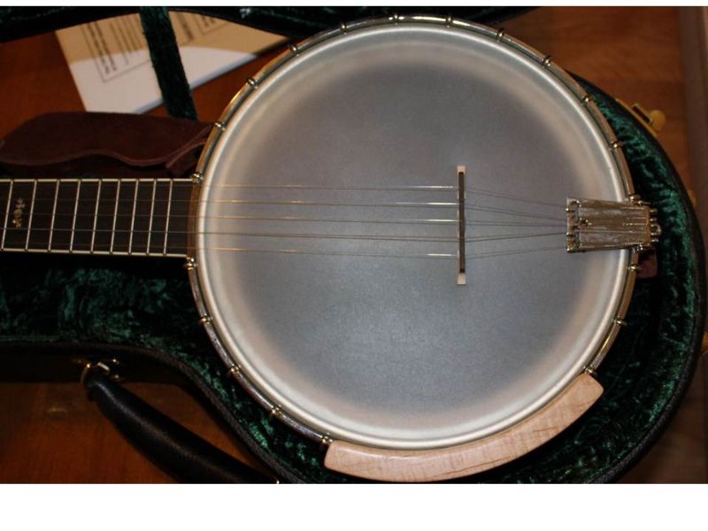 Wildwood troubadour banjo deals