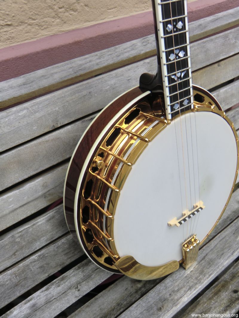 Recording King RKR82 5string banjo gold plated Used Banjo For Sale