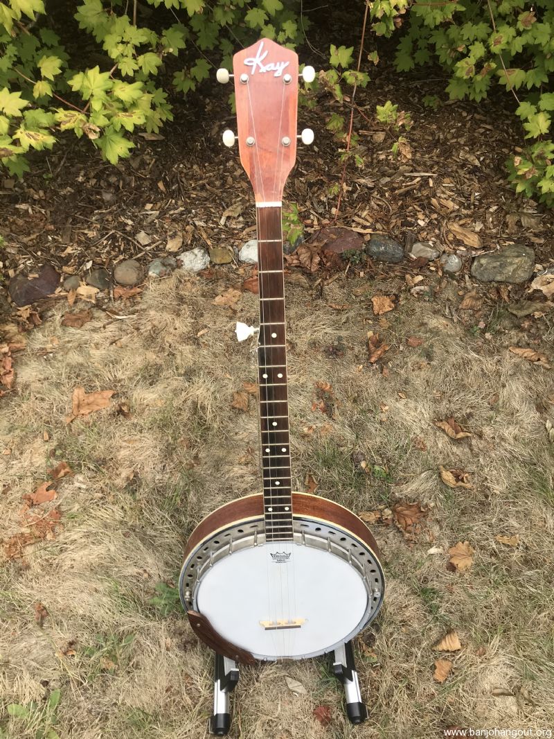 KAY Banjo for Sale Used Banjo For Sale at