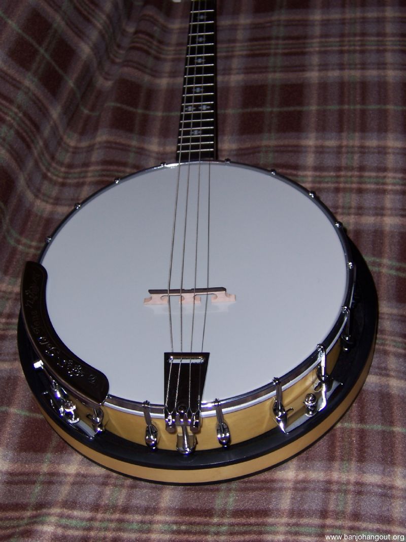Gold Tone CCIT Irish Tenor Banjo & Case, Price Reduced Used Banjo