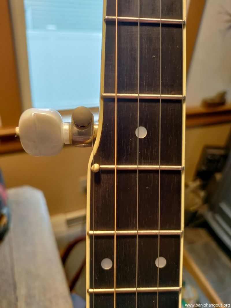 Wildwood minstrel long neck banjo used banjo for sale at banjobuyer