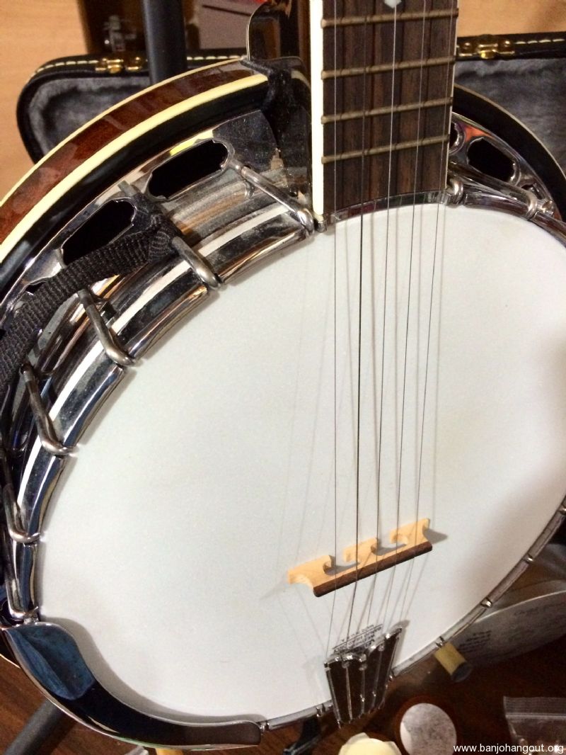 PRICE SLASHED Gold Tone BG250F Bluegrass Special Banjo with Flange