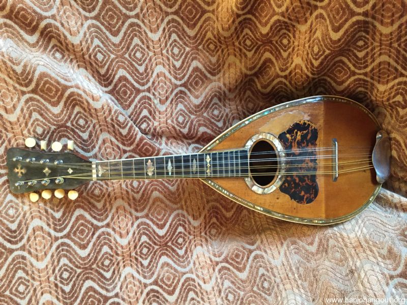 8 String Bowl Mandolin (81) Banjo Hangout