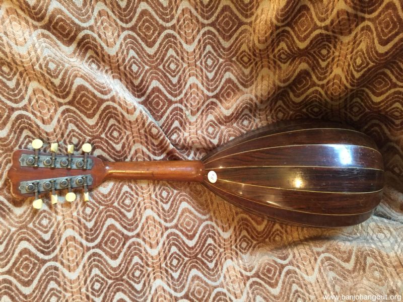 Washburn 8 String Bowl Mandolin(83) Banjo Hangout