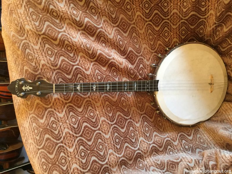 Ss stewart tenor banjo deals