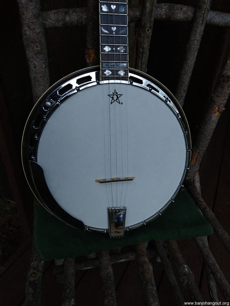 Alvarez silver discount belle banjo