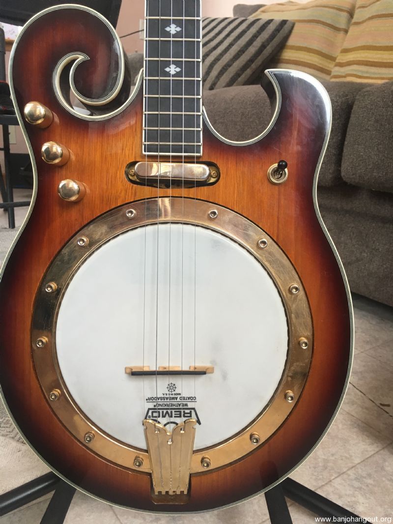 Gold Tone ebm5 electric banjo Used Banjo For Sale at