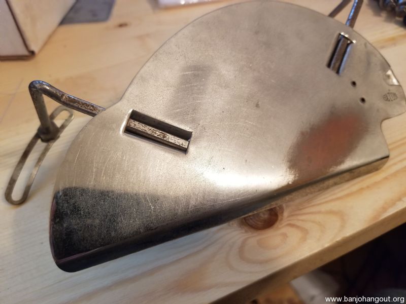 SOLD Elton Banjo Pickguard Banjo Hangout