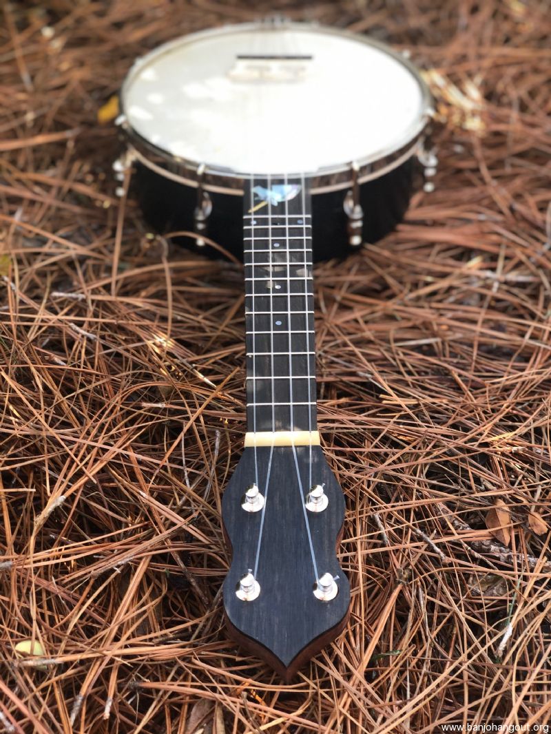 Custom Banjolele Quail Creek Banjos Used Banjo For Sale at