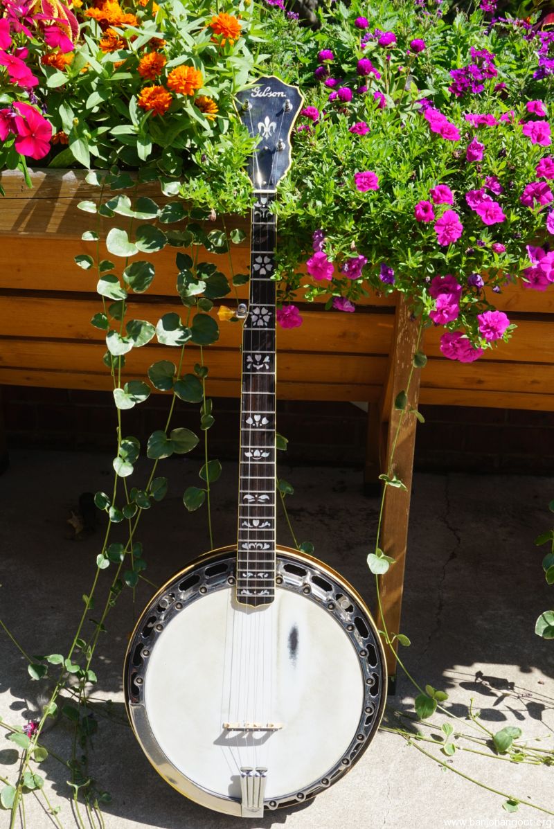 1940 Gibson PB7 Original Flathead Banjo Used Banjo For Sale at