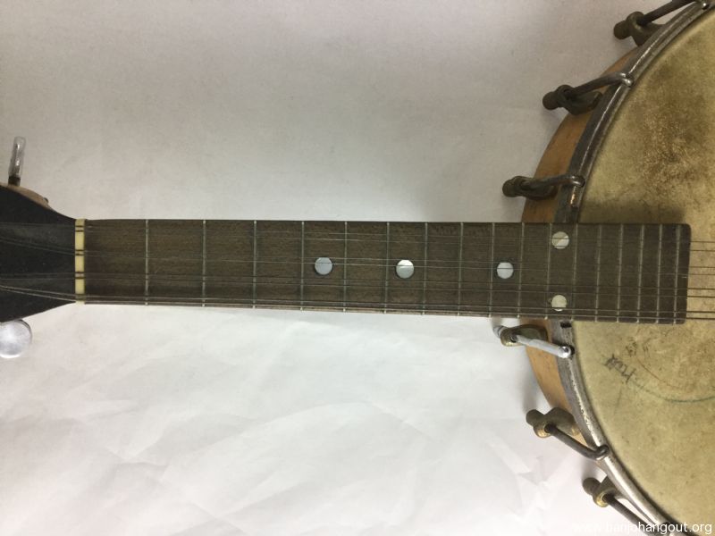 8 stringed banjo 8 stringed banjo