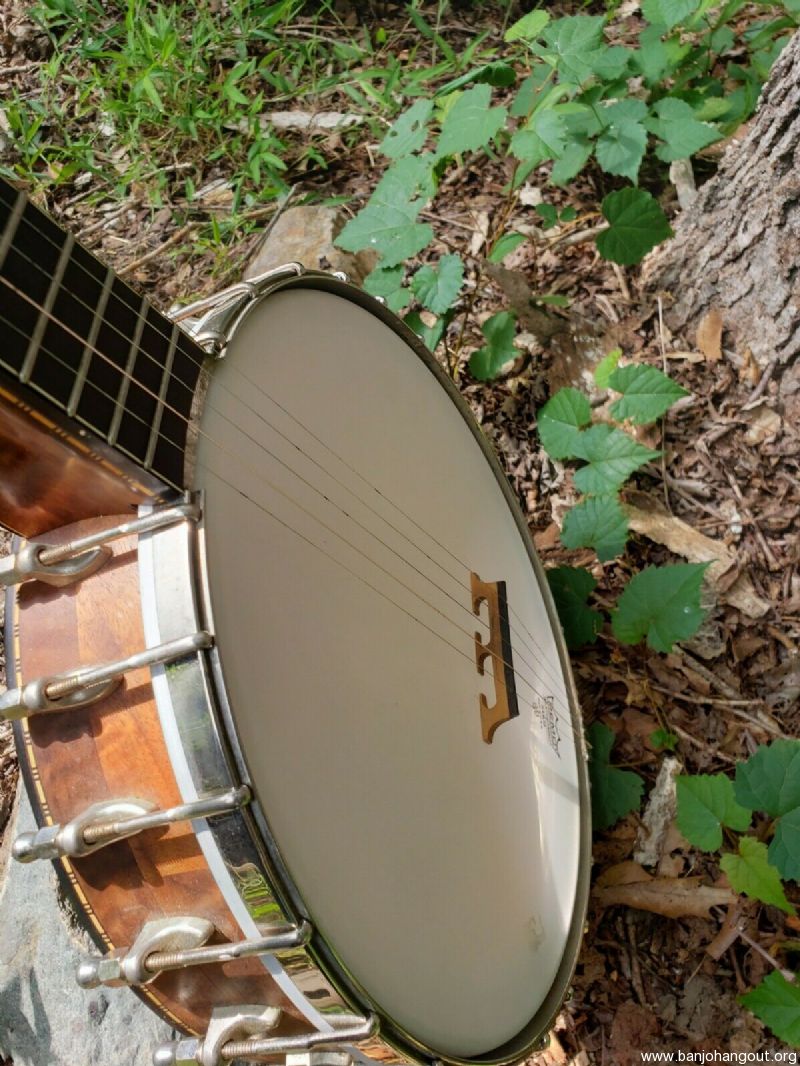 Wildwood troubadour banjo hotsell