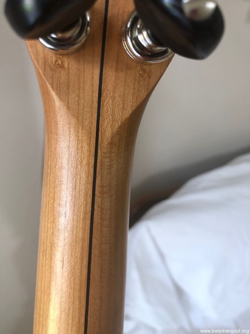 Cedar Mountain Hobart Used Banjo For Sale at