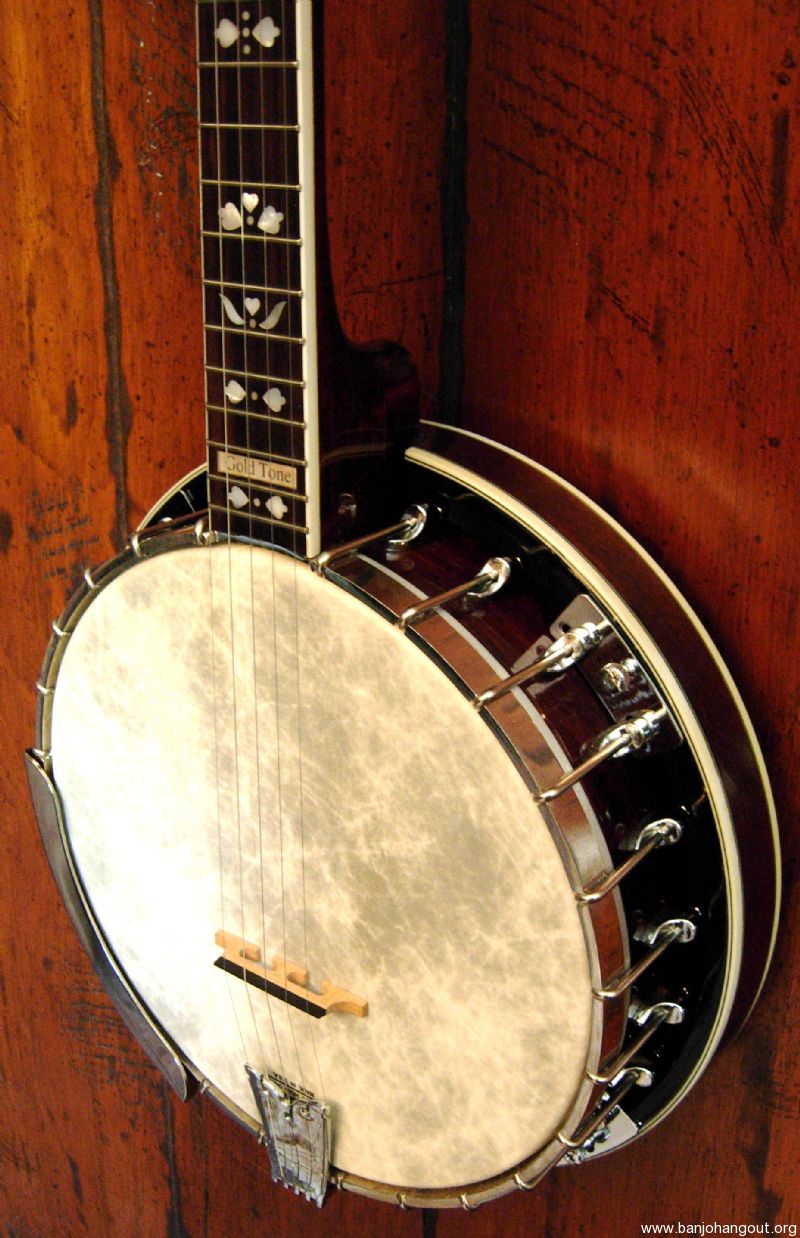 2005 gold tone ob250ln long neck banjo used banjo for sale at
