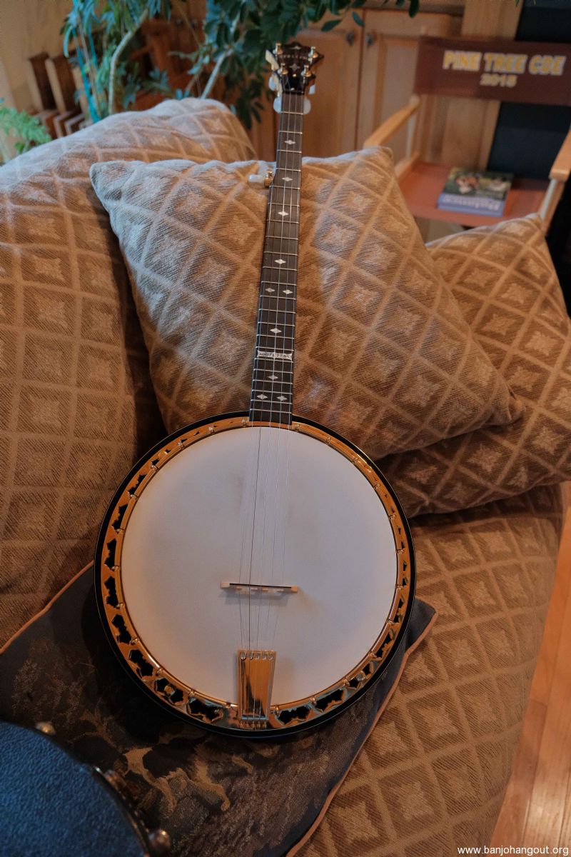 Stelling Banjo Used Banjo For Sale from Banjo Vault