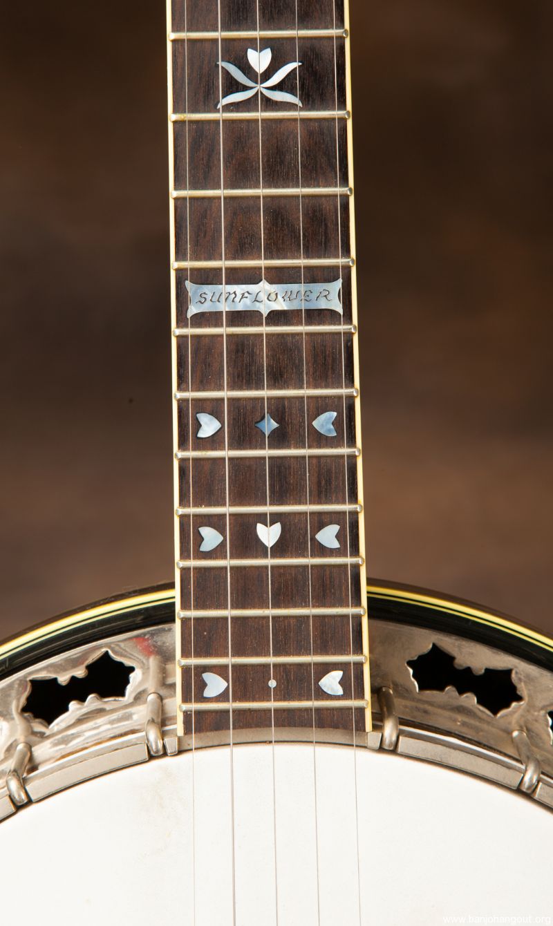 Stelling sunflower shop banjo for sale