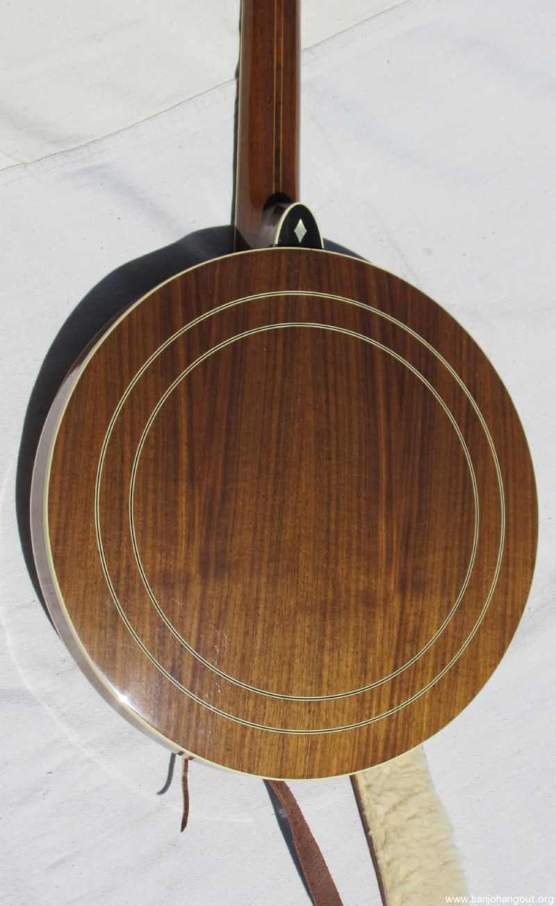 For Sale For Sale ODE Model D Banjo