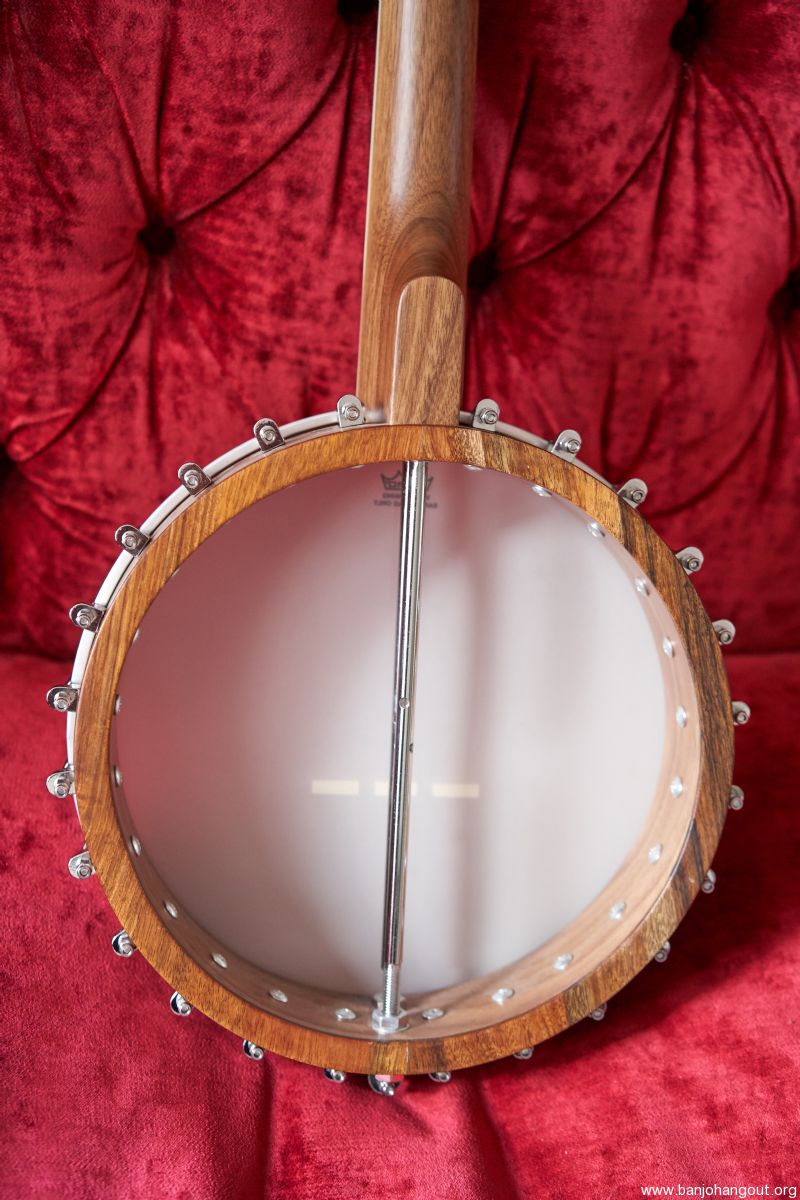 Ashbury AB855 Openback Frailing Banjo plus Soft Gig Bag Used Banjo For Sale at