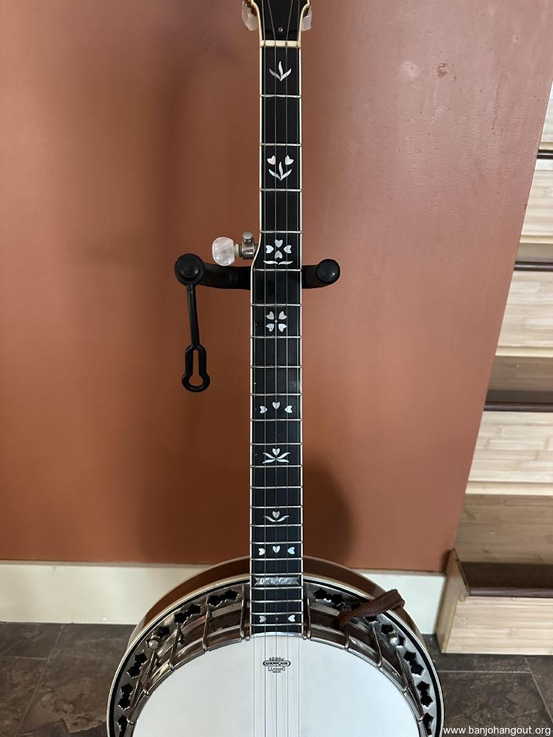 For Sale 1983 Stelling Bellflower