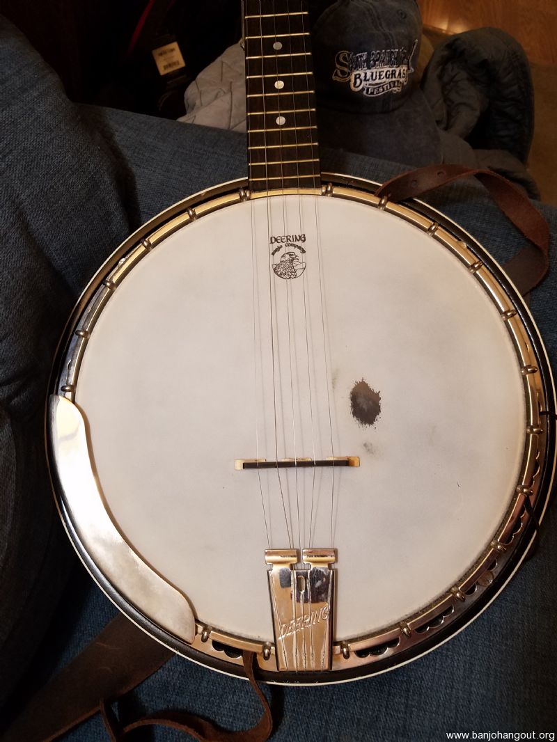 Deering Sierra Banjo (Sold) Used Banjo For Sale at