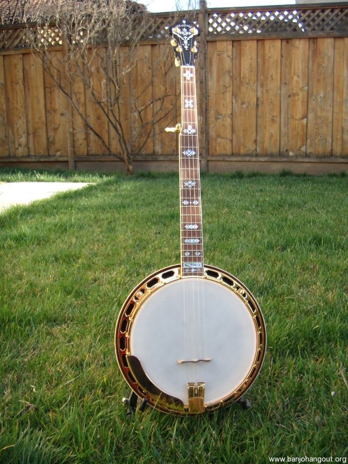 Hatfield banjos for sale hotsell