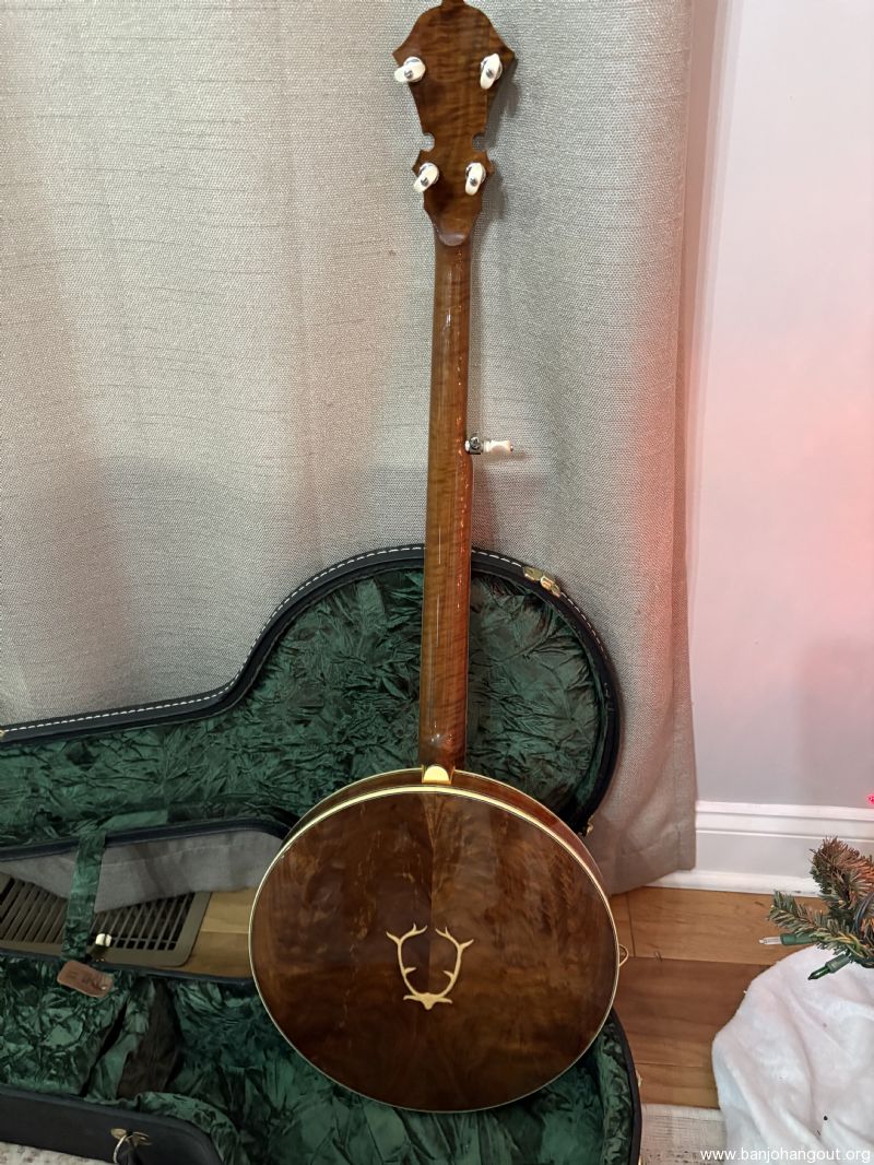 Stelling Staghorn Banjo Hangout