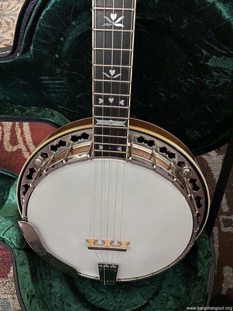 Stelling bellflower banjo for sale hotsell