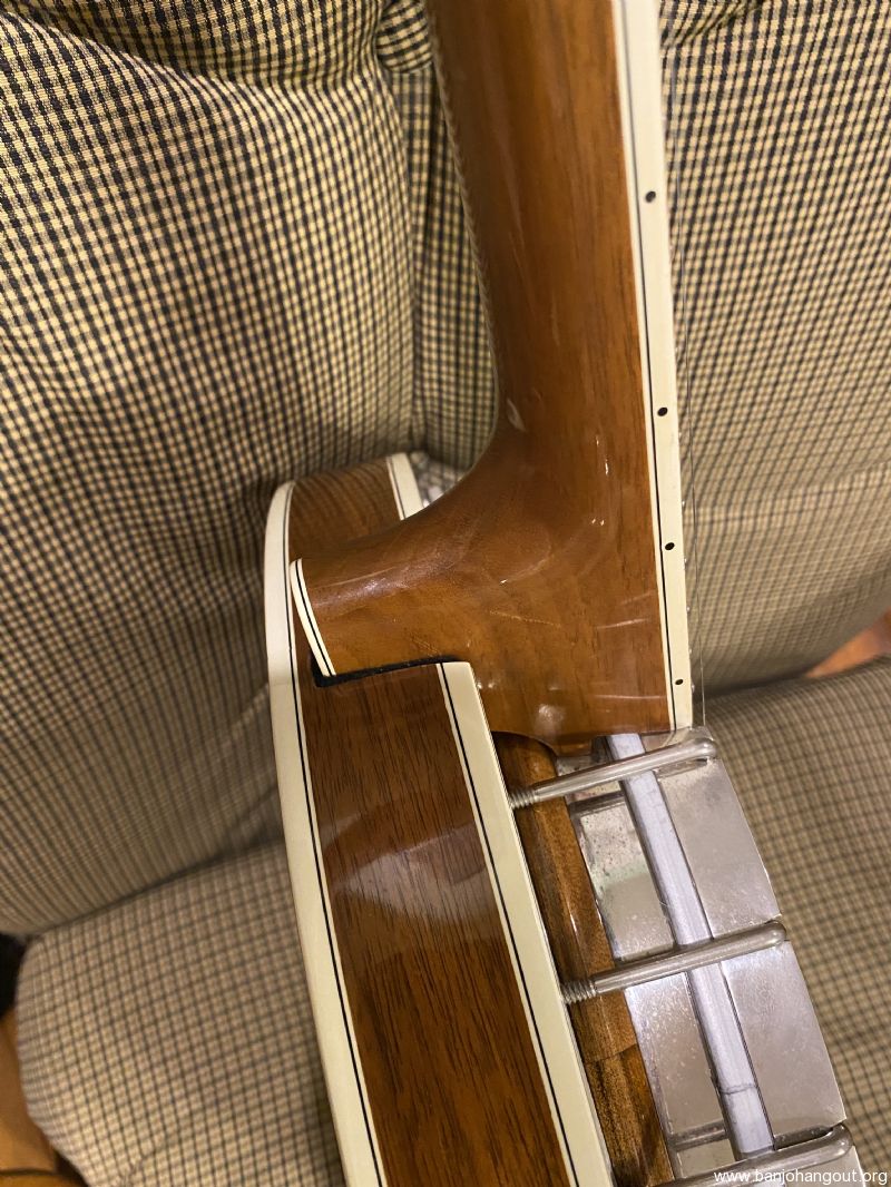 Stelling Bellflower in Walnut Used Banjo For Sale at