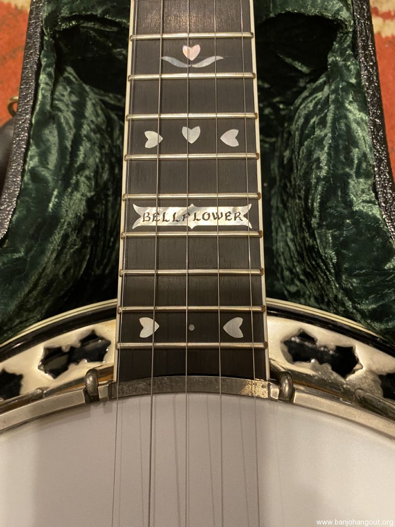 Stelling Bellflower in Walnut Used Banjo For Sale at