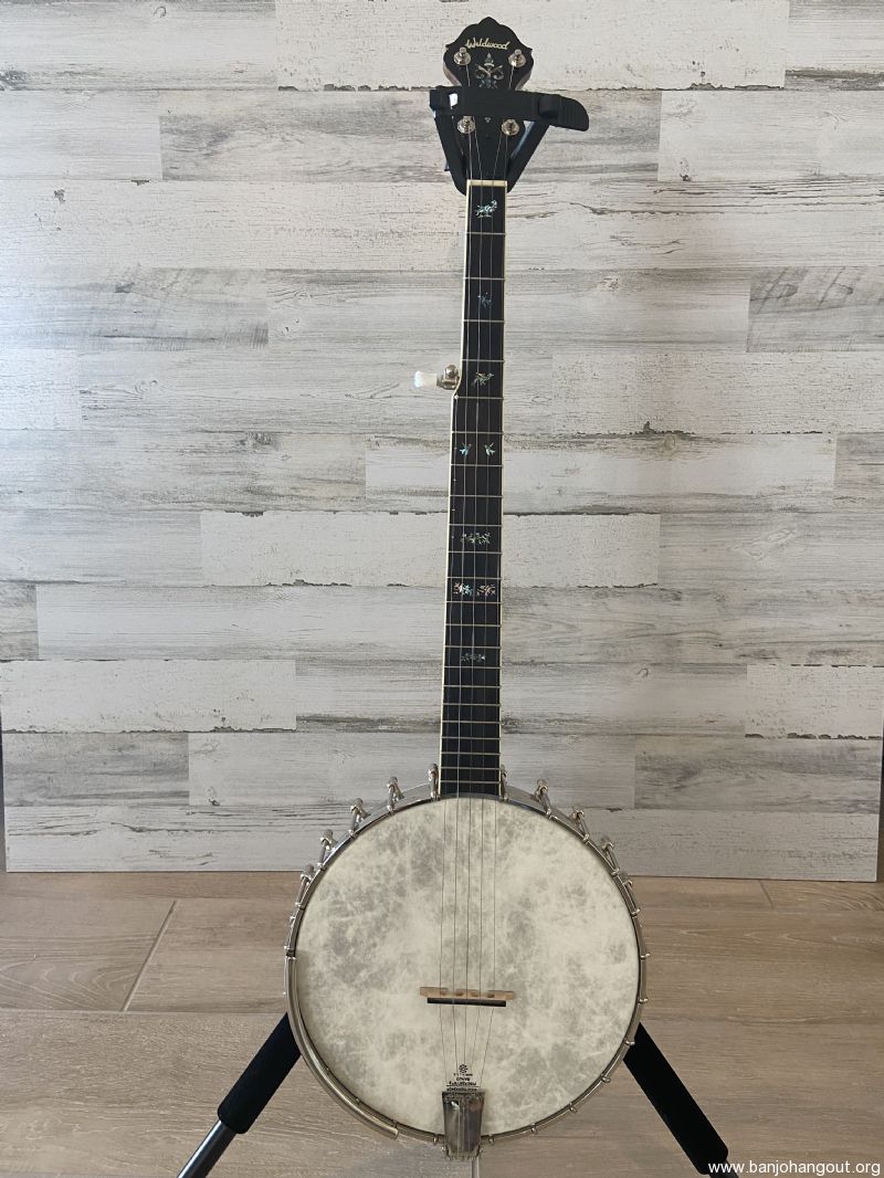For Sale wildwood troubadour banjo