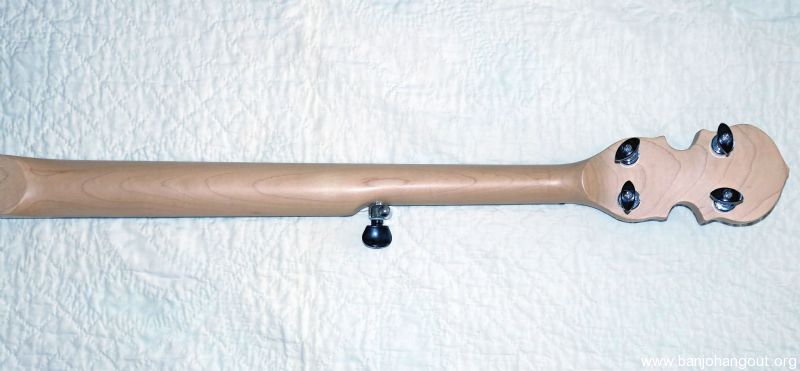 solid body electric banjo