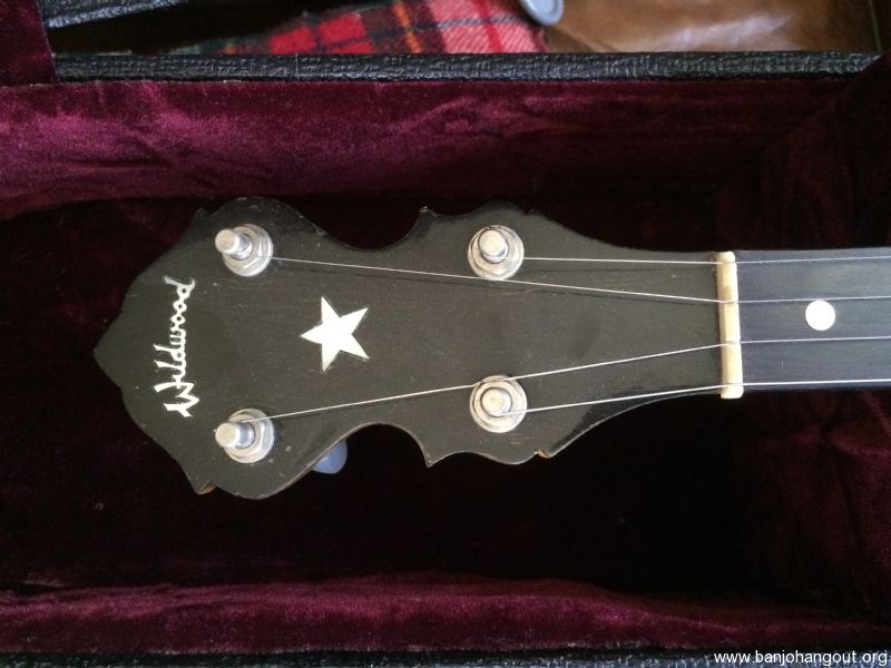 SOLD Wildwood Minstrel excellent playing 5 string banjo with railroad