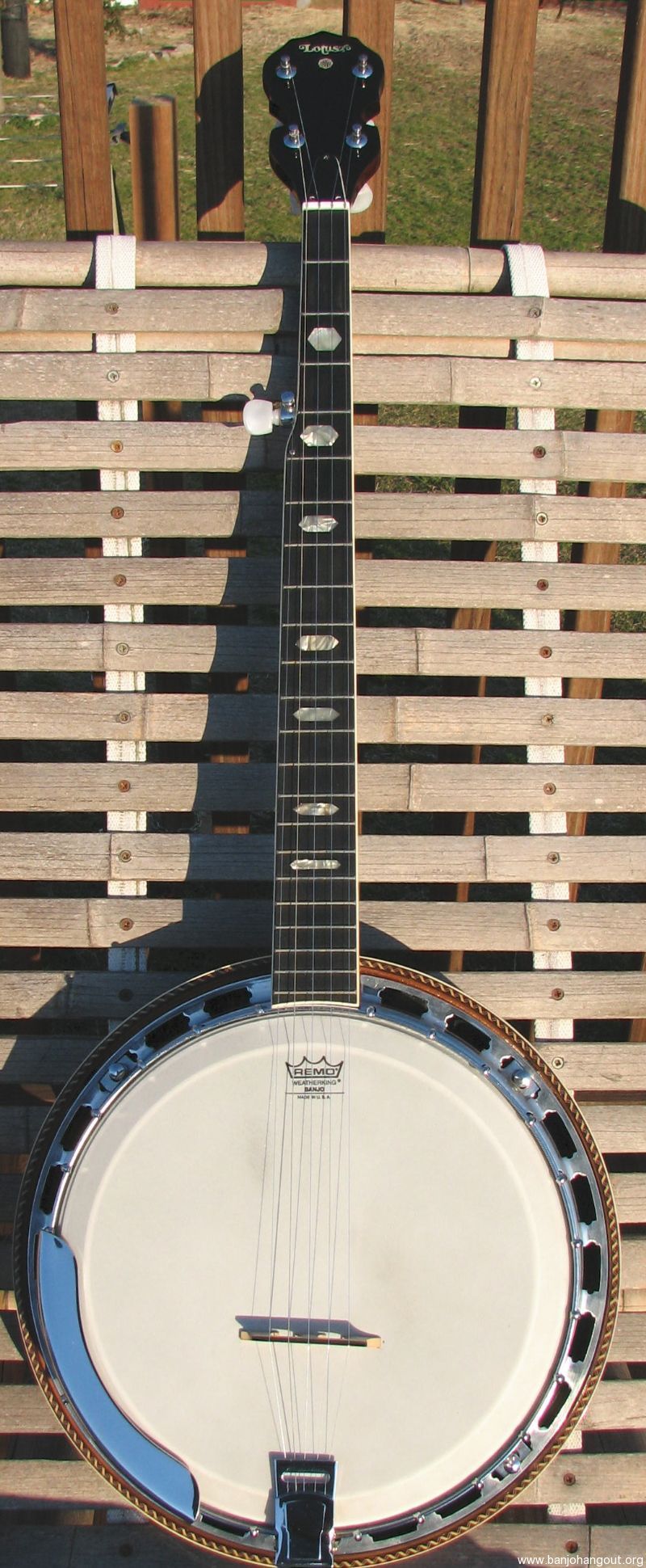 Lotus banjo hotsell
