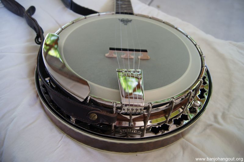 Stelling banjo sales for sale craigslist