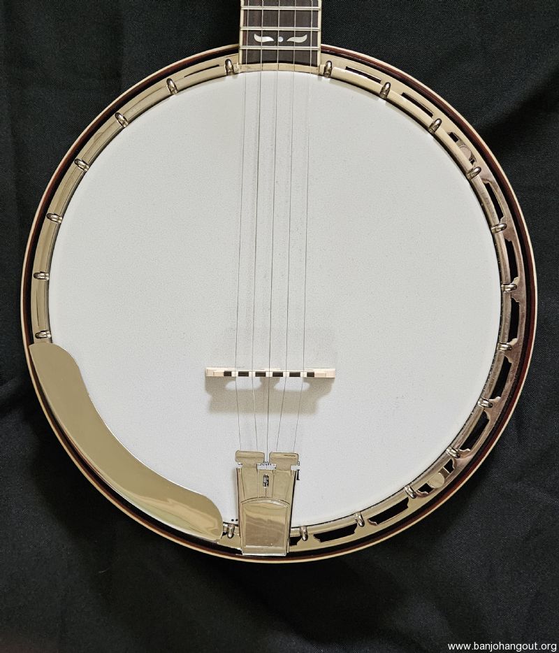Recording King RKR35 BR Madison Banjo w/ Hardshell Case Used Banjo