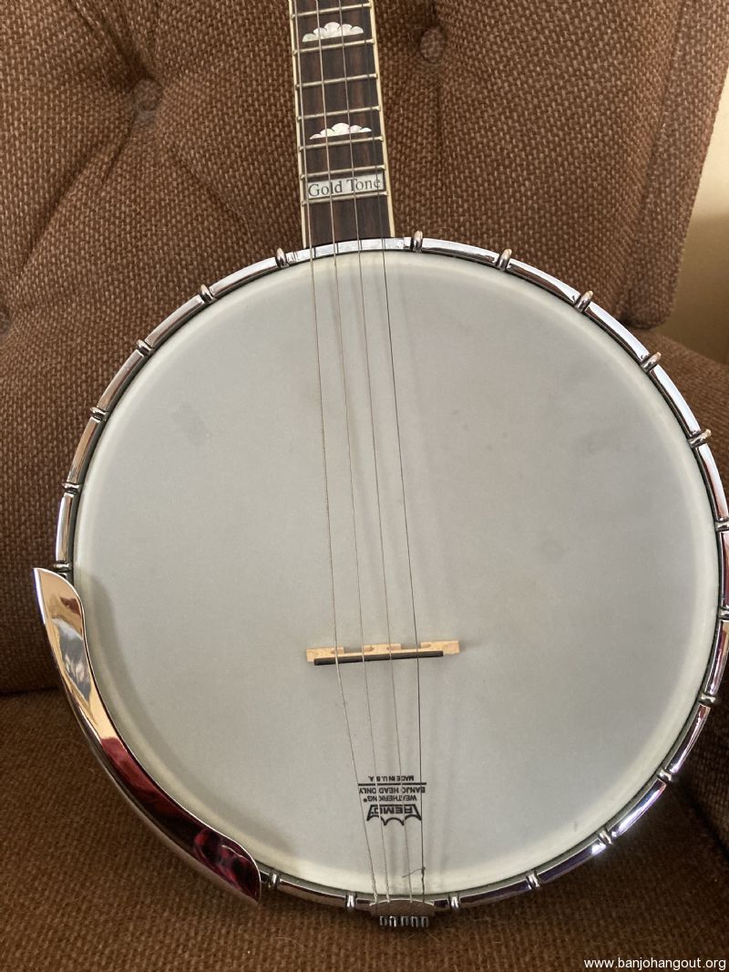 Gold Tone IT250 Irish Tenor Banjo w/ Hard Case (for sale Used Banjo