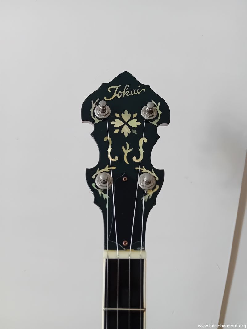 Tokai T-1200R-HF / Gold Star GF-100 HF - Banjo Hangout