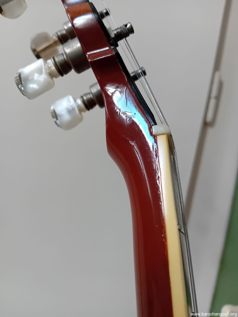 Tokai T-1200R-HF / Gold Star GF-100 HF - Banjo Hangout