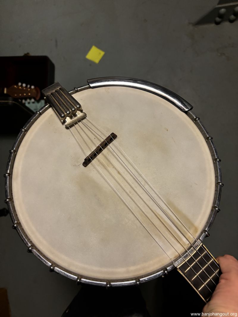 Belmont Bacon 4 String Banjo Banjo Hangout