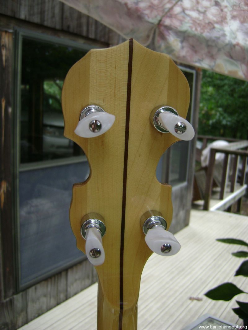 Carlo robelli resonator guitar store