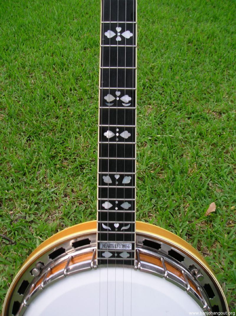 Vintage Gold Star G12 HF - Used Banjo For Sale at BanjoBuyer.com Vintage Gold Star G12 HF - Used Banjo For Sale at BanjoBuyer.com