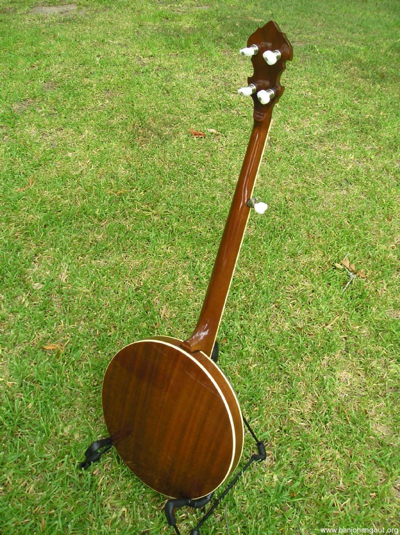1981 gold star banjo for sale clearance