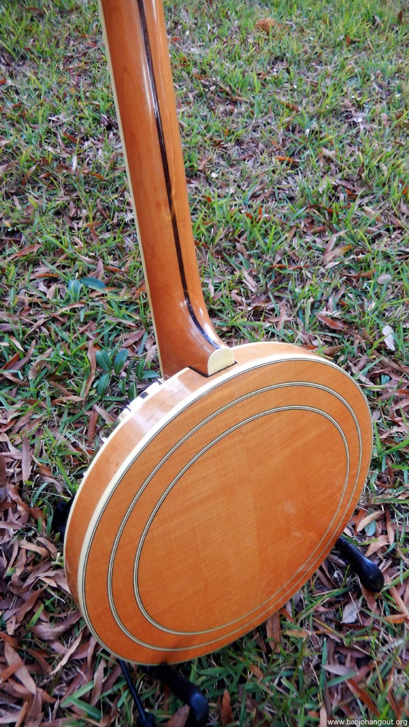 For Sale - Vintage Gold Star Archtop Banjo G12W