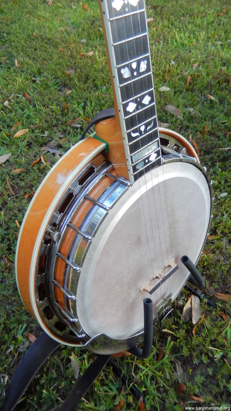 SOLD Gold Star G12 HF Archtop Banjo SOLD Used Banjo For Sale at