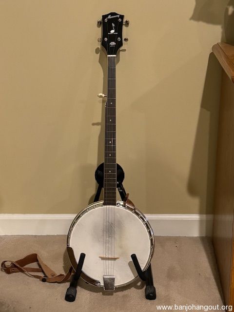 Sovereign banjo hotsell