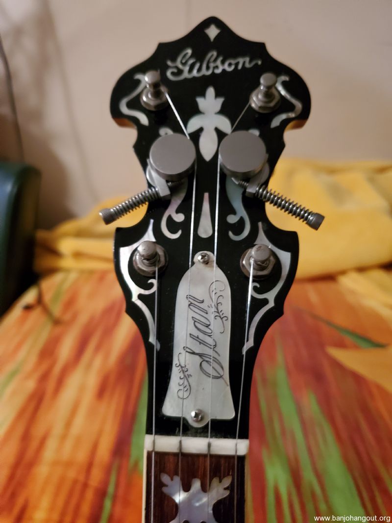 Cam d tuners Banjo Hangout