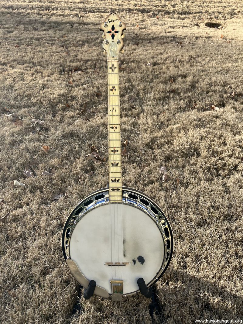 Greg clearance earnest banjo
