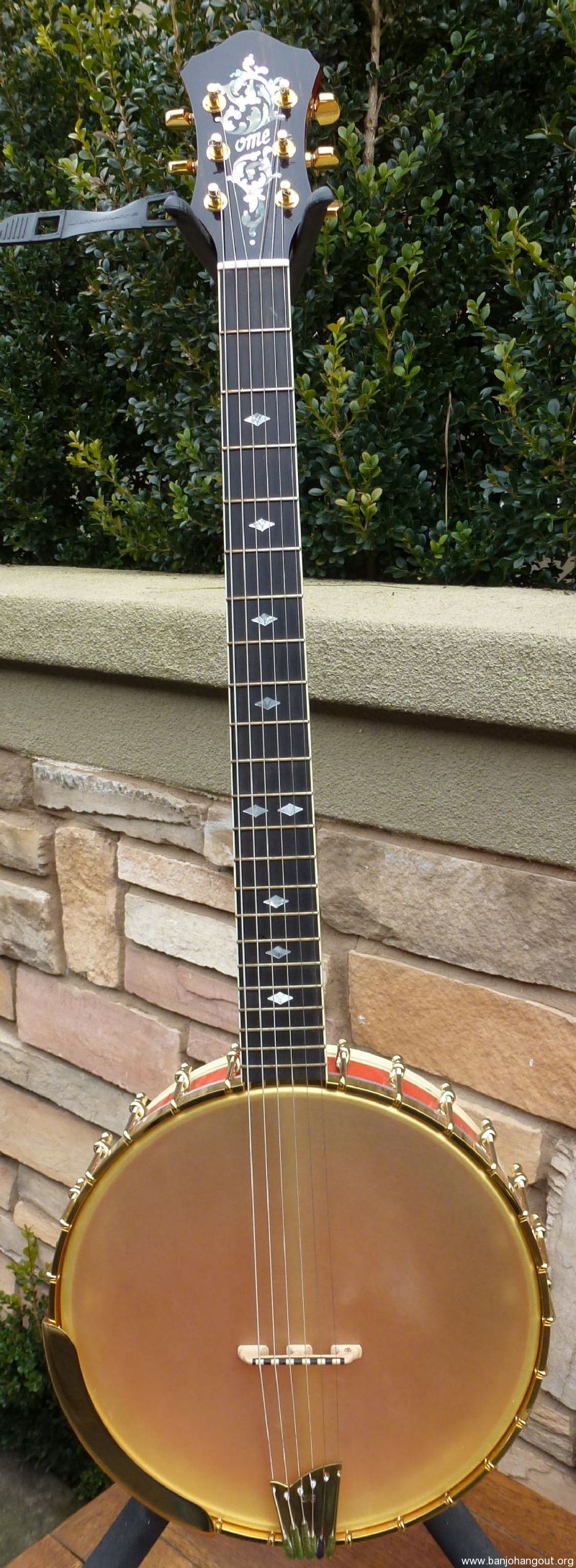 six stringed banjo six stringed banjo