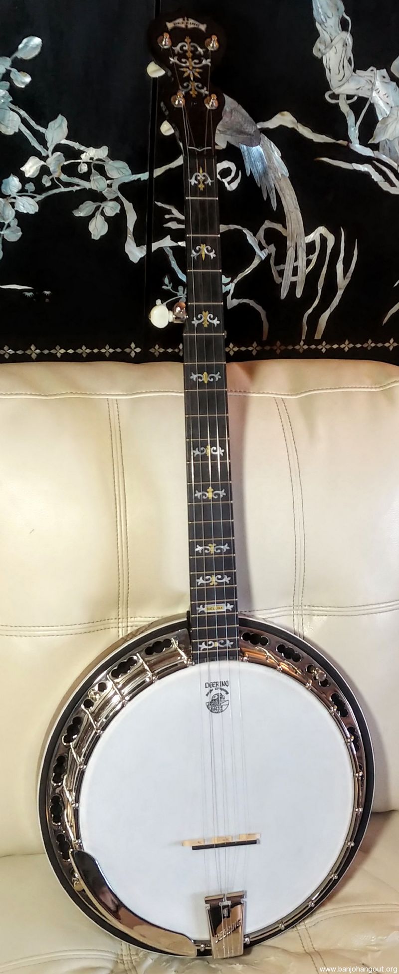 Deering Deluxe Used Banjo For Sale at
